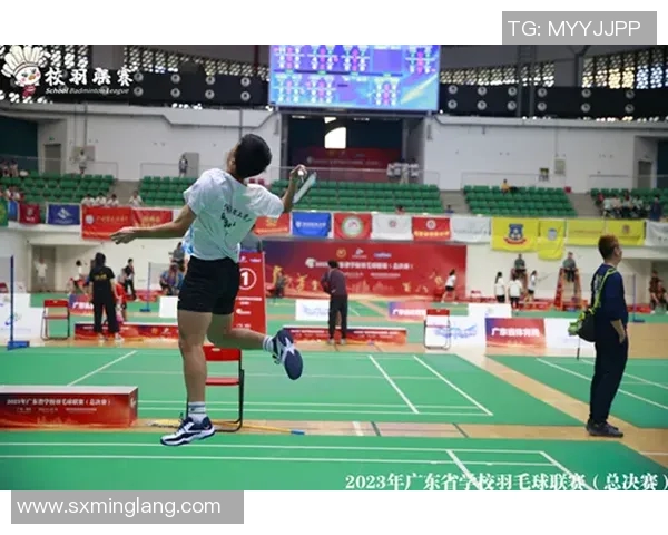 赛后分析:杭州网球队与重庆网球队的实力对比与战术探讨